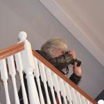 Cambria_CN_0038 (November 06, 2015)